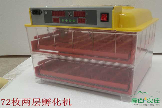 農家土雞鴿子自動(dòng)孵化孵化器