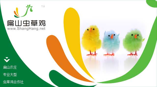 扁山蟲(chóng)草雞蛋標志
