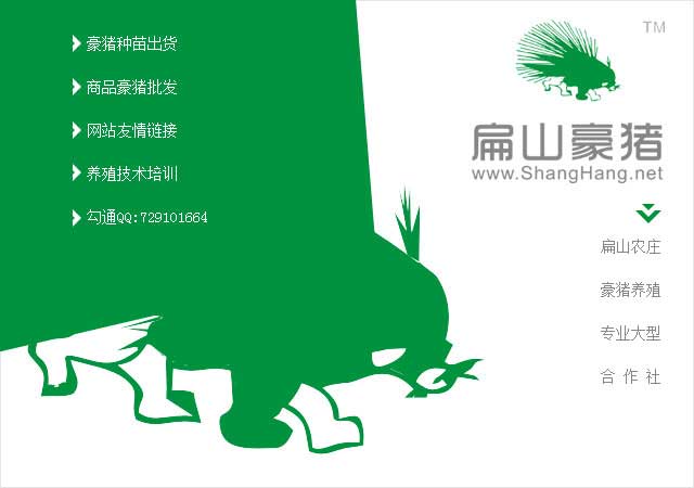 肉兔標志設計