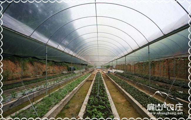 福州農莊養殖規劃注意事項