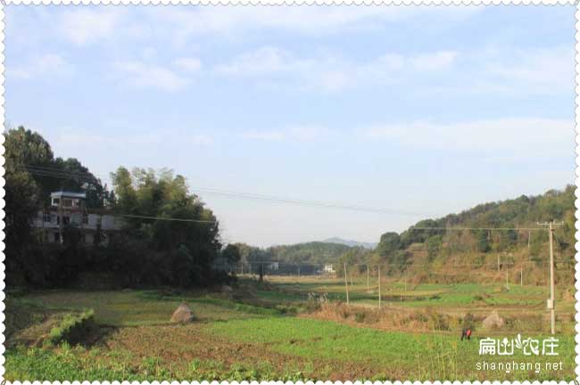 龍巖老母養殖基地