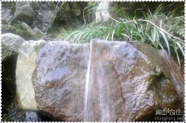 廈門(mén)石蛙養殖基地