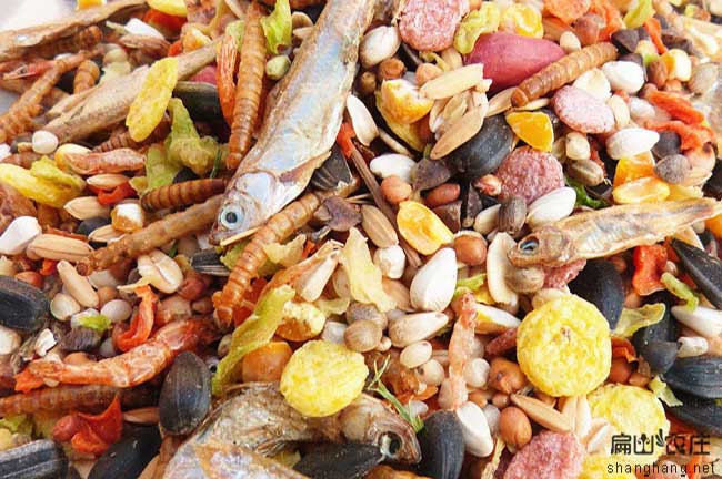 倉鼠至愛(ài)新鮮散裝面包蟲(chóng)干