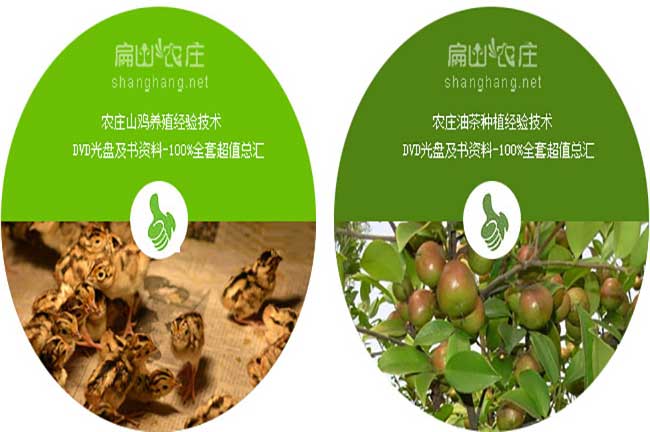 扁山農莊油茶標志應用