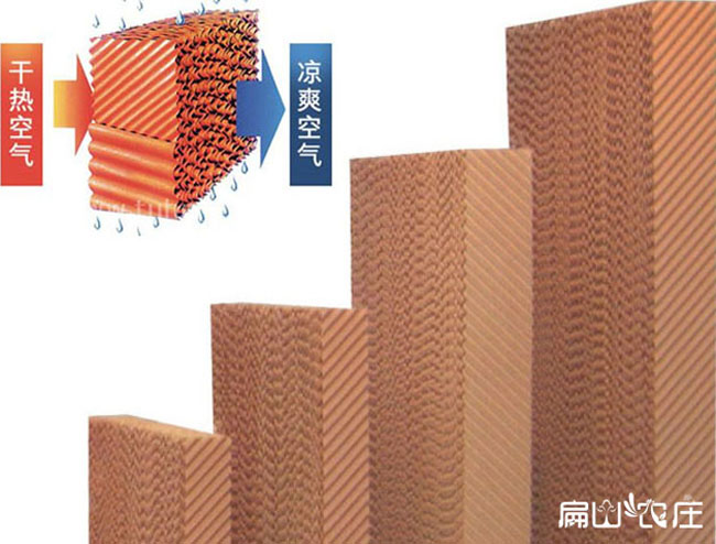 福建養殖水簾批發(fā)
