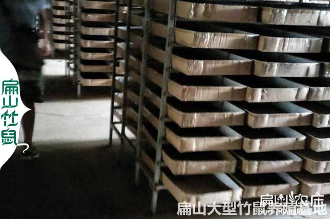 龍巖黃粉蟲(chóng)養殖