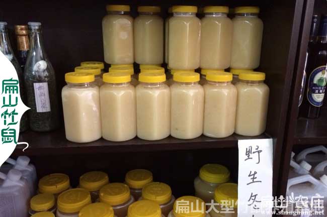 福建蜜蜂養殖技術(shù)培訓