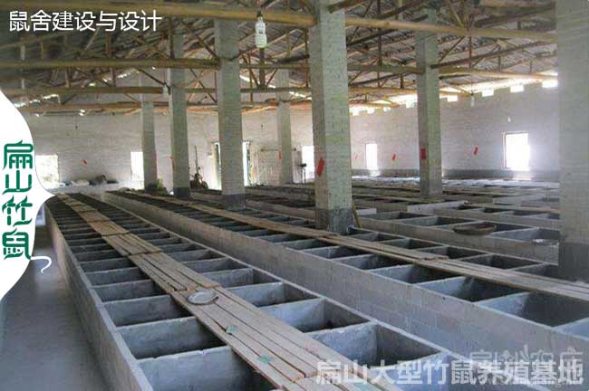 張家界竹鼠養殖合作社