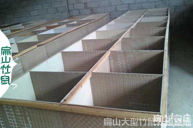 梧州竹鼠苗價(jià)錢(qián)