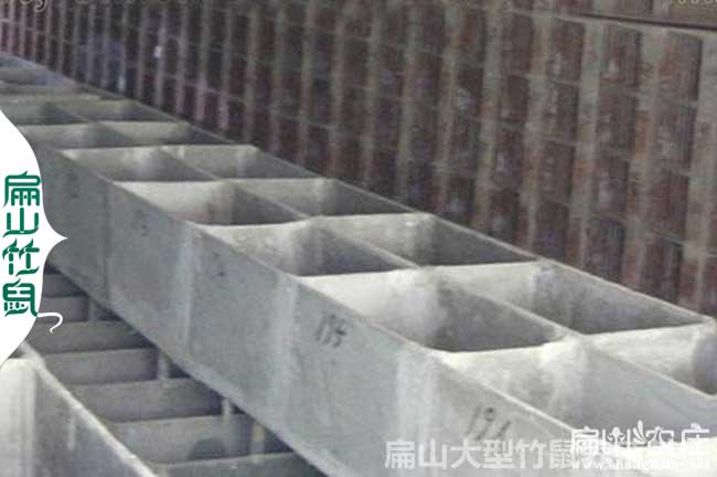 醴陵竹鼠養殖基地