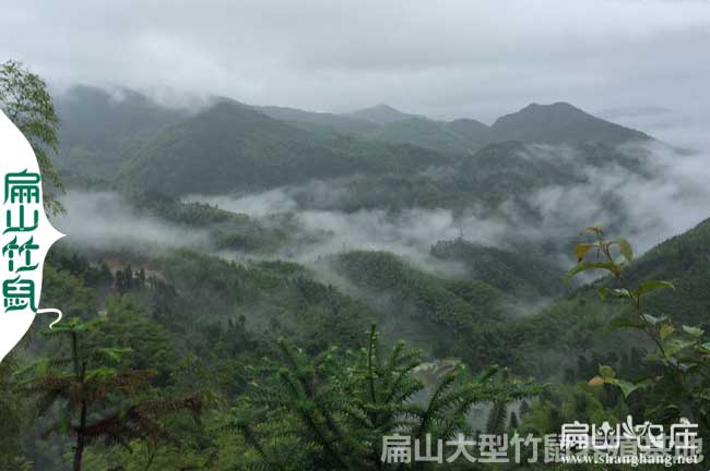 云南大理麗江昆明西雙版納毛血青腳土雞苗孵化養殖基地合作社批發(fā)