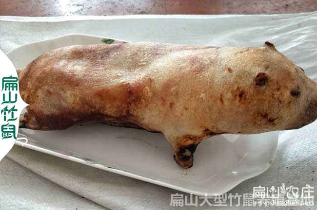 2024竹鼠銷(xiāo)路