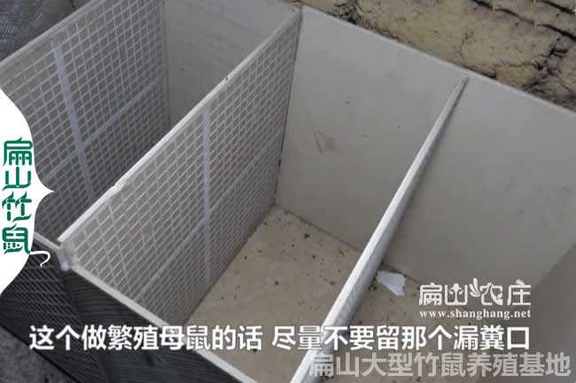 簡(jiǎn)單竹鼠瓷磚養殖池