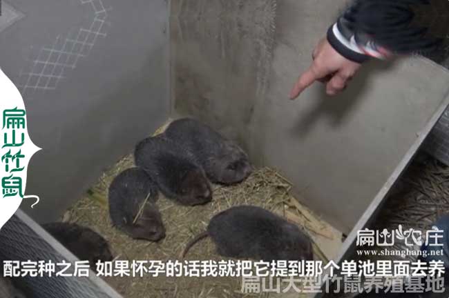 張家界養殖網(wǎng)