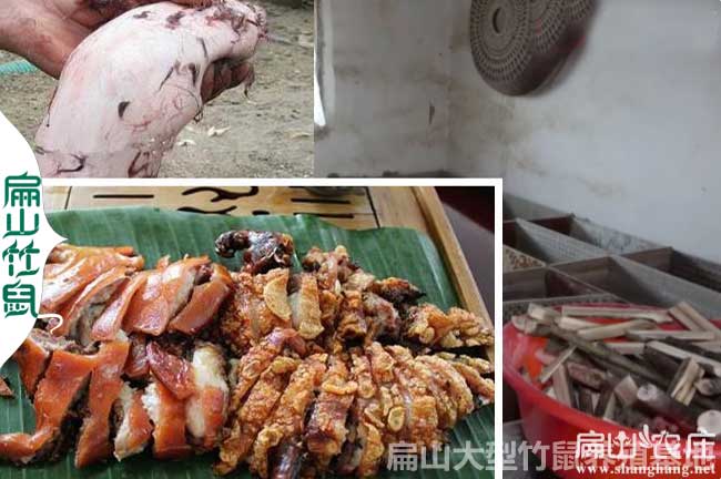 張家界商品竹鼠肉多少錢(qián)一斤