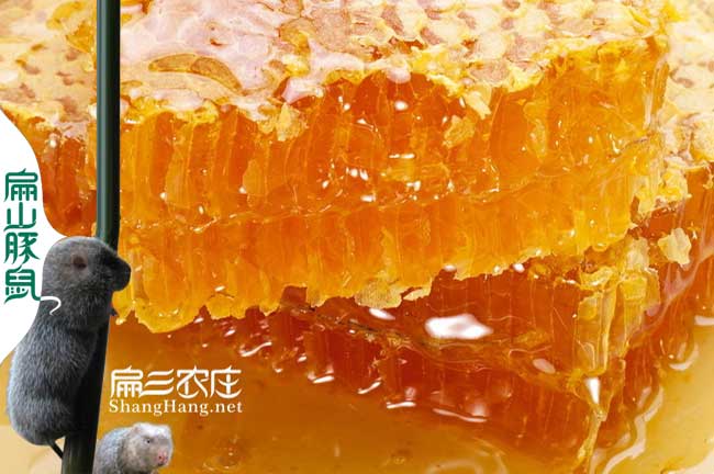 福州蜂蜜價(jià)格