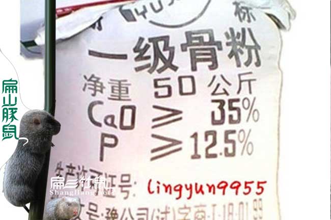 一級竹鼠骨粉