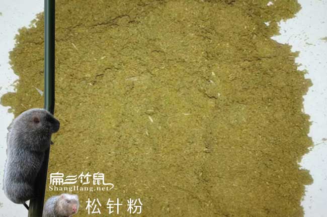 竹鼠竹鼠養殖技術(shù)交流微
