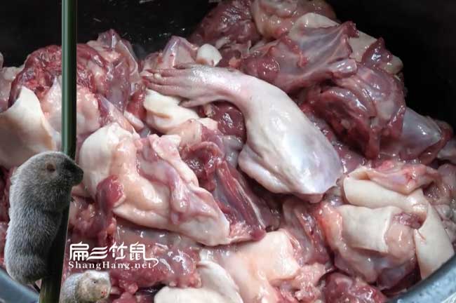 竹鼠舍降溫通風(fēng)方法