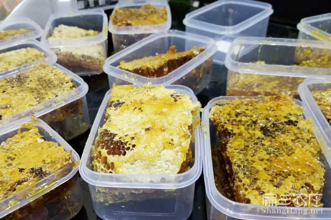 湖南蜜蜂養殖技術(shù)培訓