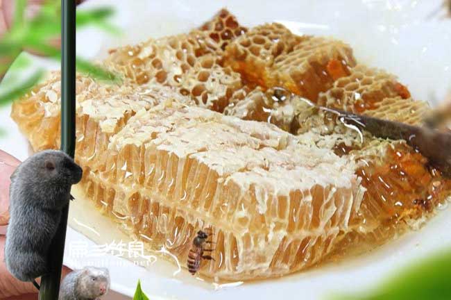 湖南蜂巢蜜批發(fā)