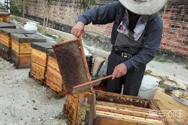 貴州巢礎片工具制作
