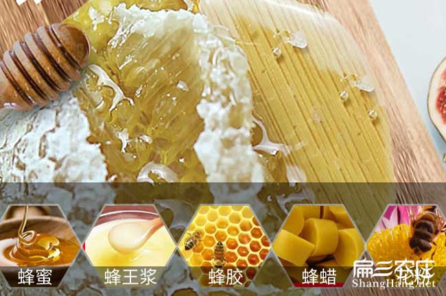 龍巖蜜蜂養殖