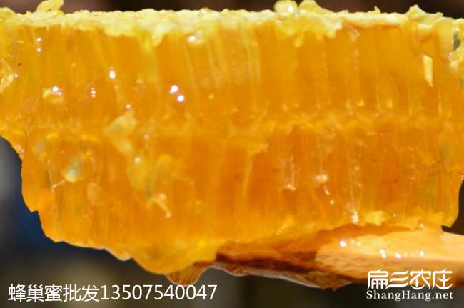 云南蜂巢蜜批發(fā)
