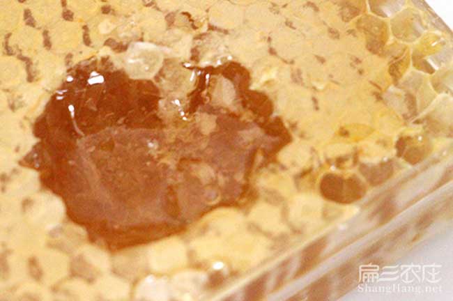 金華中蜂養殖技術(shù)