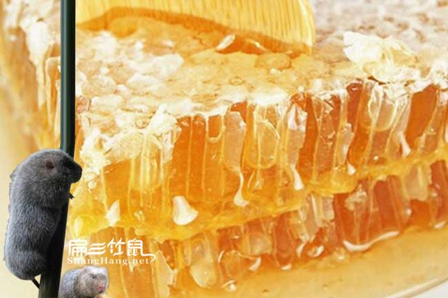 萍鄉蜜蜂養殖