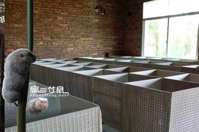 竹鼠養殖舍