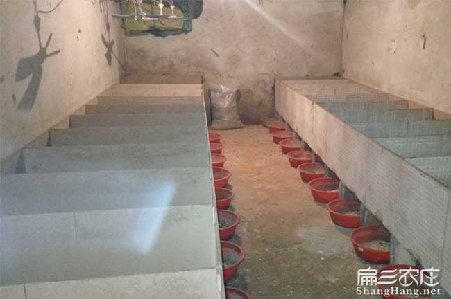 南昌竹鼠養殖場(chǎng)所