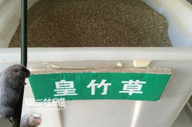 無(wú)錫竹鼠合作社