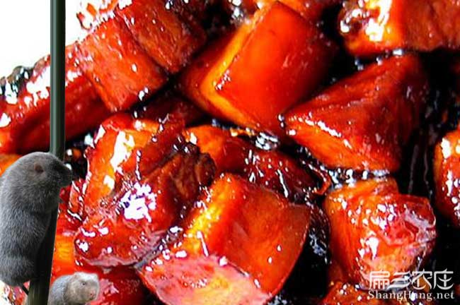 竹鼠肉價(jià)格
