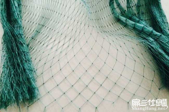 養殖荷蘭網(wǎng)