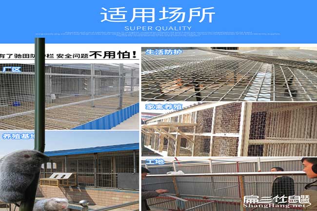泉州養殖鐵絲網(wǎng)批發(fā)