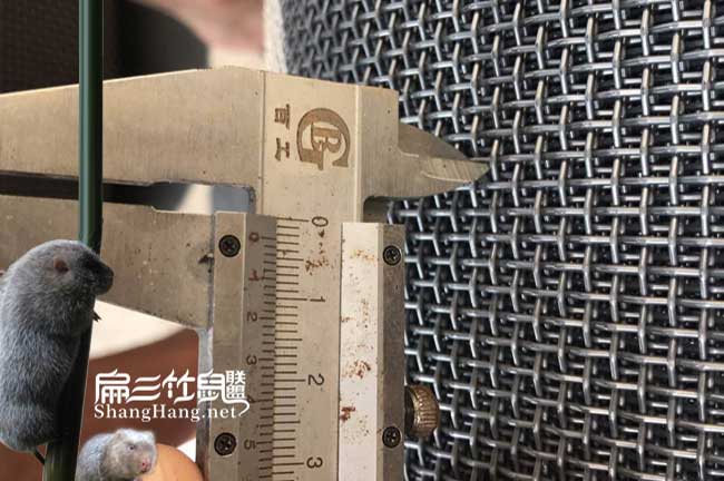 新晃竹鼠養殖網(wǎng)