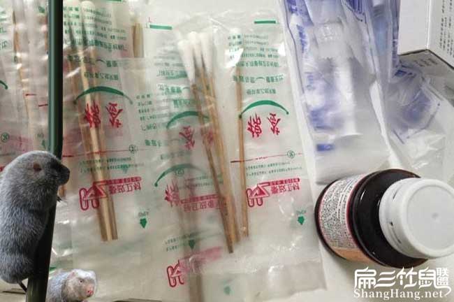 竹鼠養殖常用藥