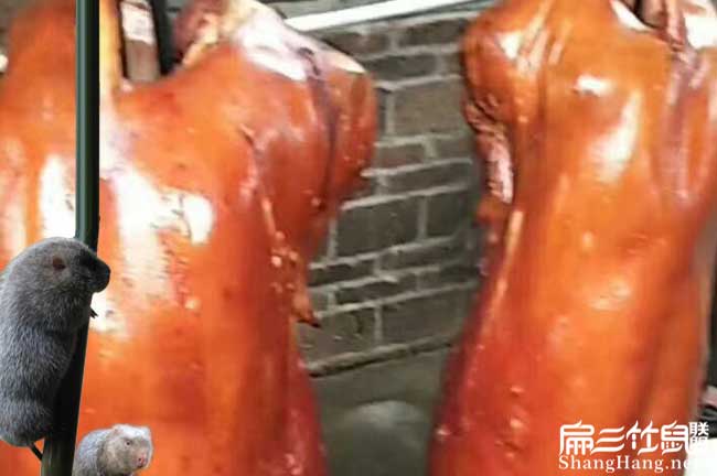 中國烤竹鼠銷(xiāo)量