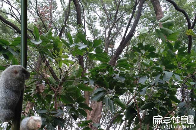 和你們上機縣扁山農業(yè) 和你們上機縣扁山農業(yè)