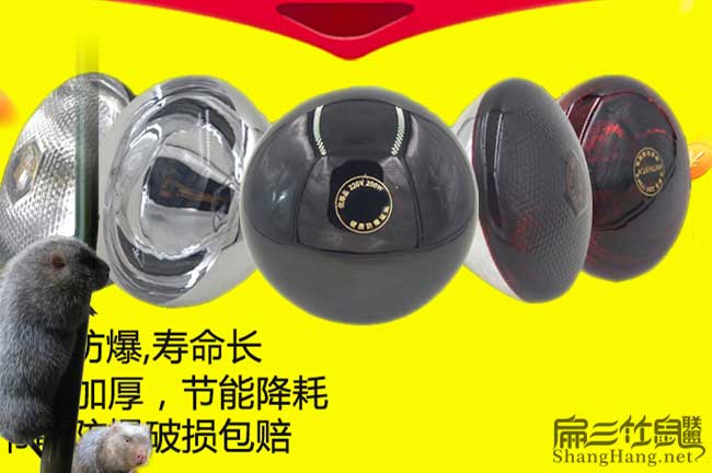 竹鼠養殖保溫燈設備