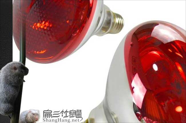 養殖場(chǎng)保溫燈