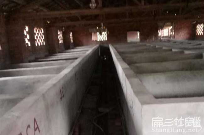 高安肉兔養殖場(chǎng)