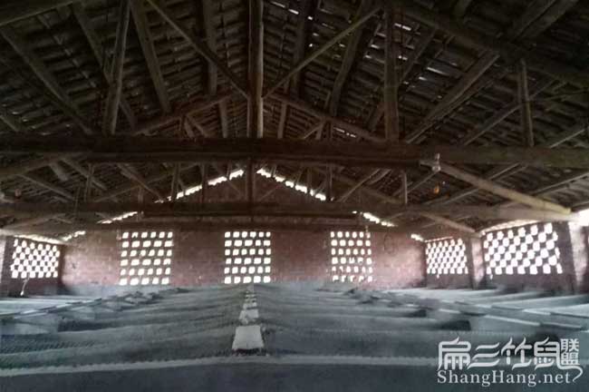 江西大中肉兔養殖