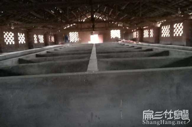 江西比利時(shí)肉兔批發(fā)