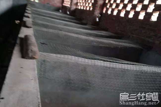 龍潭肉兔養殖場(chǎng)