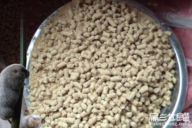 竹鼠專(zhuān)用飼料