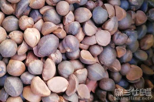 嘉禾茶籽價(jià)錢(qián)
