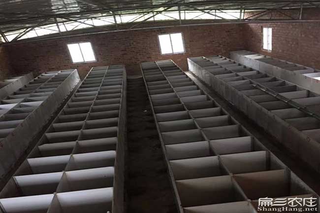 商品竹鼠養殖基地