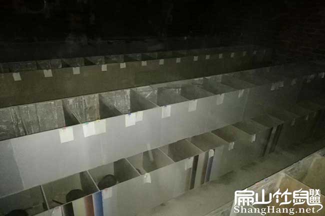 中國竹鼠基地